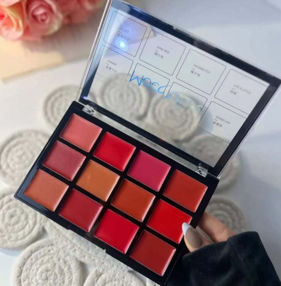 Mocallure 12-Color Lip Palette / Long-Lasting Professional Lip Kit for Every Mood image 0