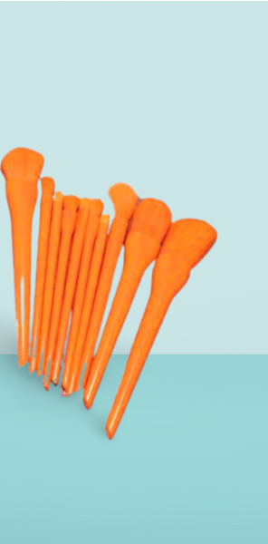10 Pcs Professional Makeup Brush Set – Face, Eyes &amp; Lips | Concealer, Blush, Eyeshadow, Highlighter | Orange &amp; Green Colors image 1