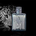 UDV (Ulric De Varens) Paris Perfume For Men Eau de toilette 100ml image 0