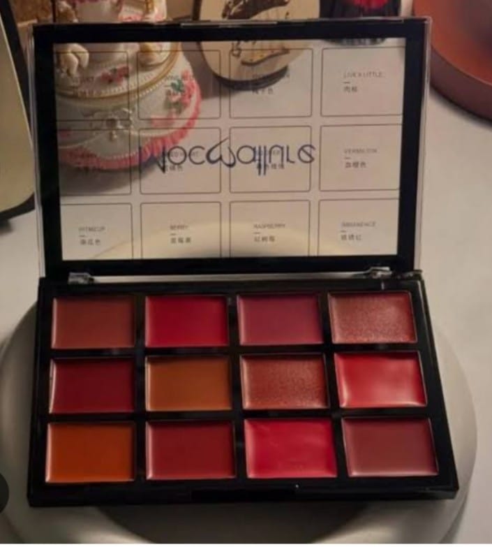 mocallure lip palette 12 color Pakistan