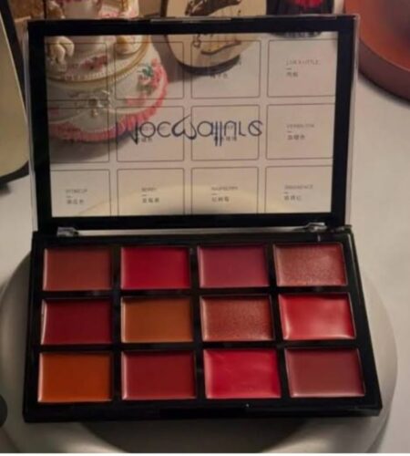 Mocallure 12-Color Lip Palette / Long-Lasting Professional Lip Kit for Every Mood